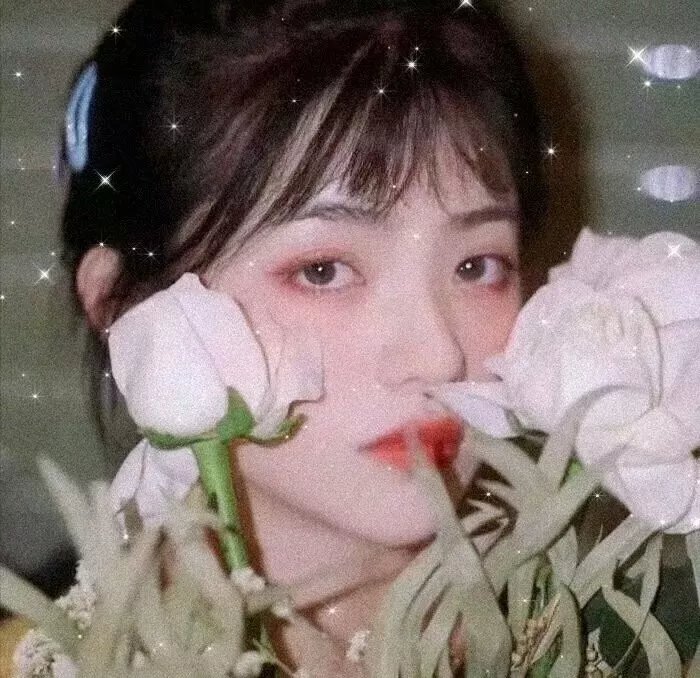 玛丽肯·范·尼梅根