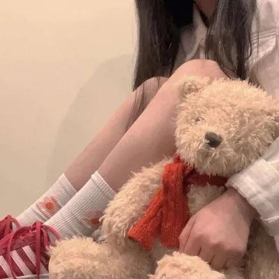 完美伴侣